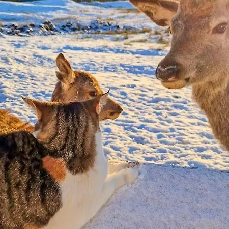 Charming Farm On Averoy Island شقة Lyngstad