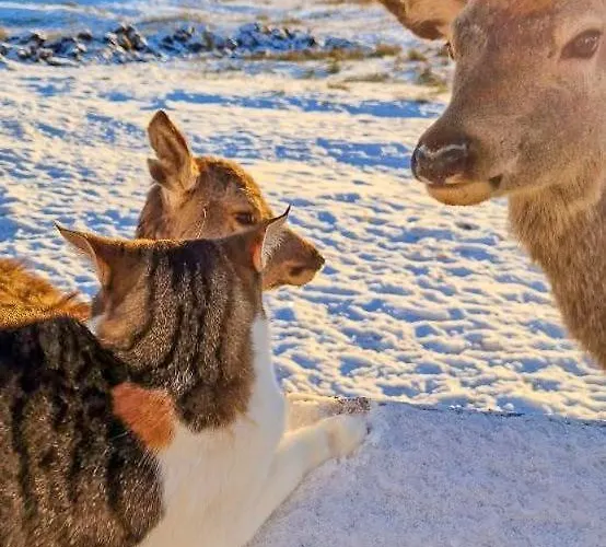 Apartamento Charming Farm On Island AVEROY