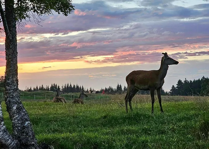 Charming Farm On Island Apartamento AVEROY